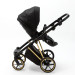 ADAMEX BELISSA SPECIAL EDITION
