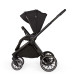 ADAMEX SPARK VELVET