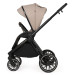 ADAMEX SPARK VELVET