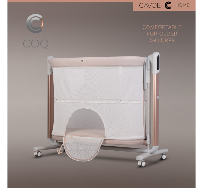 Cavoe COQ häll