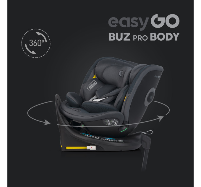 EasyGo 2in1 CarSeat set 