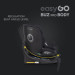 EasyGo 2in1 CarSeat set 